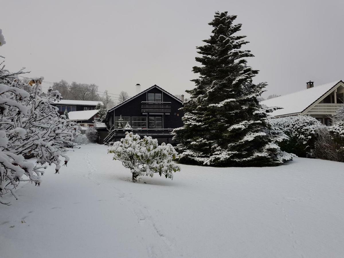 Peak Apartments Voss Bagian luar foto